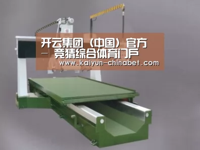 产品名称十