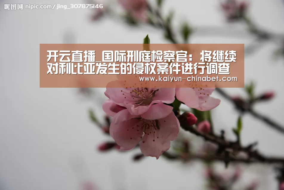 开云赛事